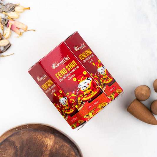 Feng Shui Geri Akış Tütsü – 10’lu Paket